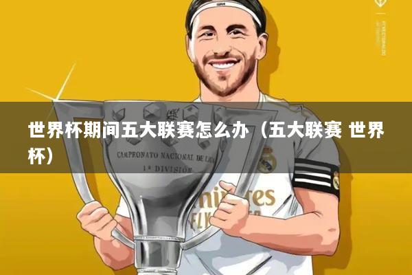 世界杯期间五大联赛怎么办（五大联赛 世界杯）