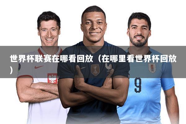 世界杯联赛在哪看回放（在哪里看世界杯回放）