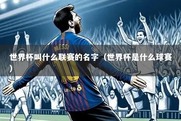 世界杯叫什么联赛的名字(世界杯是什么球赛)