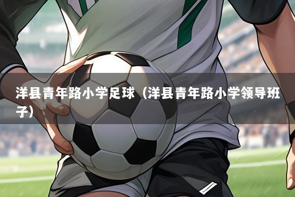 洋县青年路小学足球(洋县青年路小学领导班子)