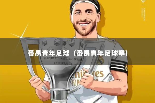 番禺青年足球(番禺青年足球塞)