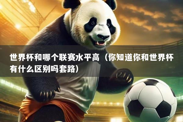 世界杯和哪个联赛水平高(你知道你和世界杯有什么区别吗套路)