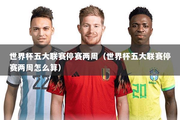 世界杯五大联赛停赛两周(世界杯五大联赛停赛两周怎么算)
