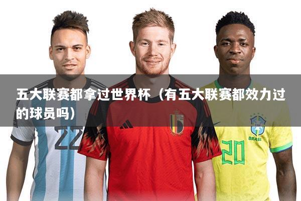 五大联赛都拿过世界杯(有五大联赛都效力过的球员吗)