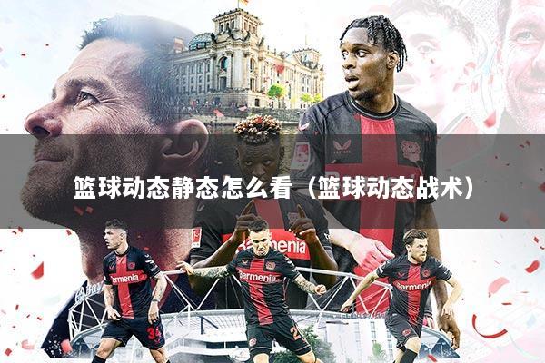 篮球动态静态怎么看(篮球动态战术)