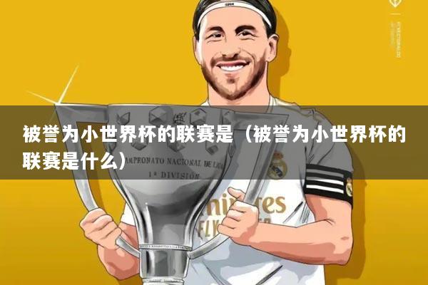 被誉为小世界杯的联赛是(被誉为小世界杯的联赛是什么)
