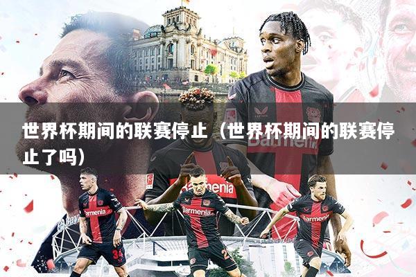 世界杯期间的联赛停止(世界杯期间的联赛停止了吗)