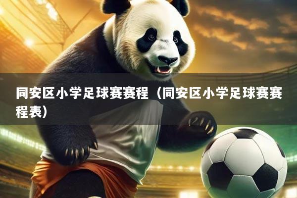 同安区小学足球赛赛程(同安区小学足球赛赛程表)