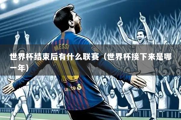 世界杯结束后有什么联赛(世界杯接下来是哪一年)
