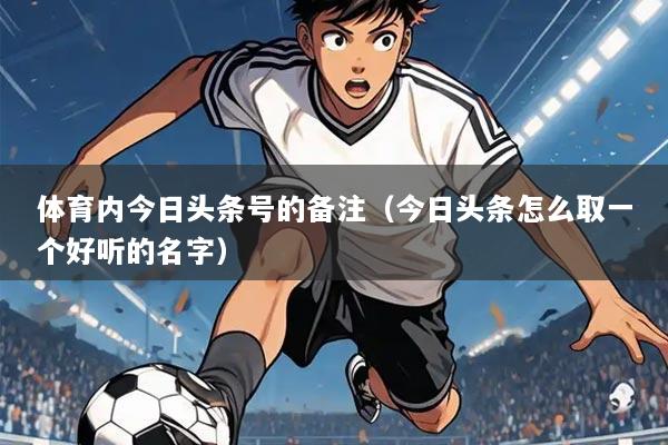 体育内今日头条号的备注（今日头条怎么取一个好听的名字）