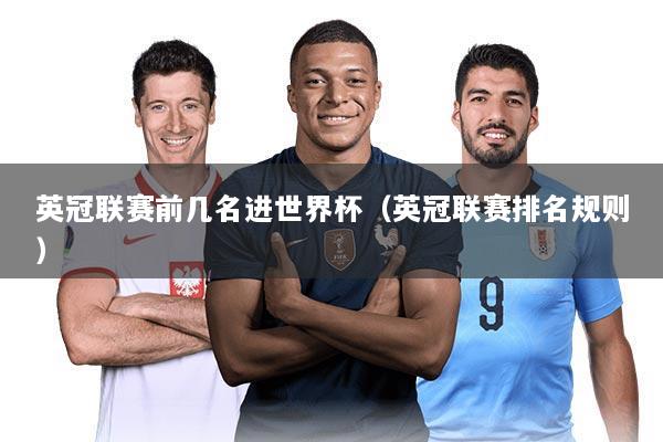 英冠联赛前几名进世界杯（英冠联赛排名规则）