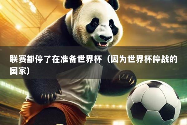 联赛都停了在准备世界杯(因为世界杯停战的国家)