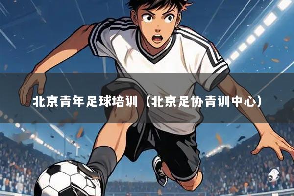 北京青年足球培训（北京足协青训中心）