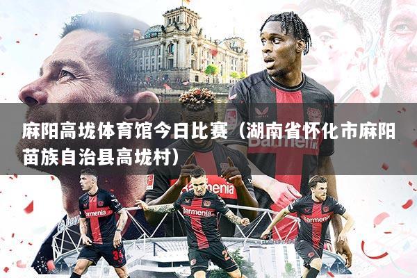 麻阳高垅体育馆今日比赛(湖南省怀化市麻阳苗族自治县高垅村)