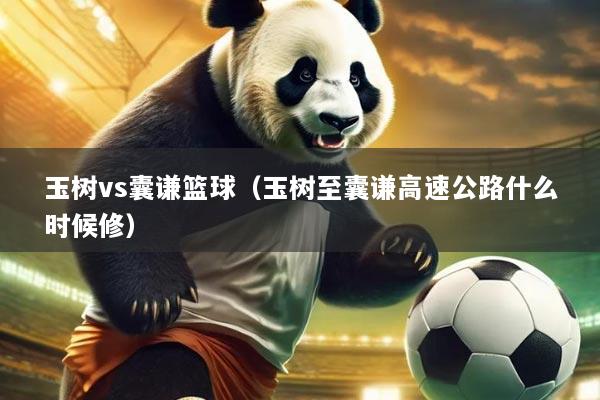 玉树vs囊谦篮球（玉树至囊谦高速公路什么时候修）