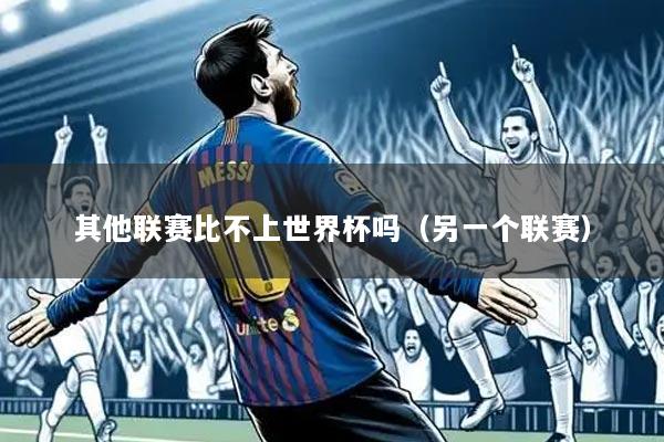 其他联赛比不上世界杯吗（另一个联赛）